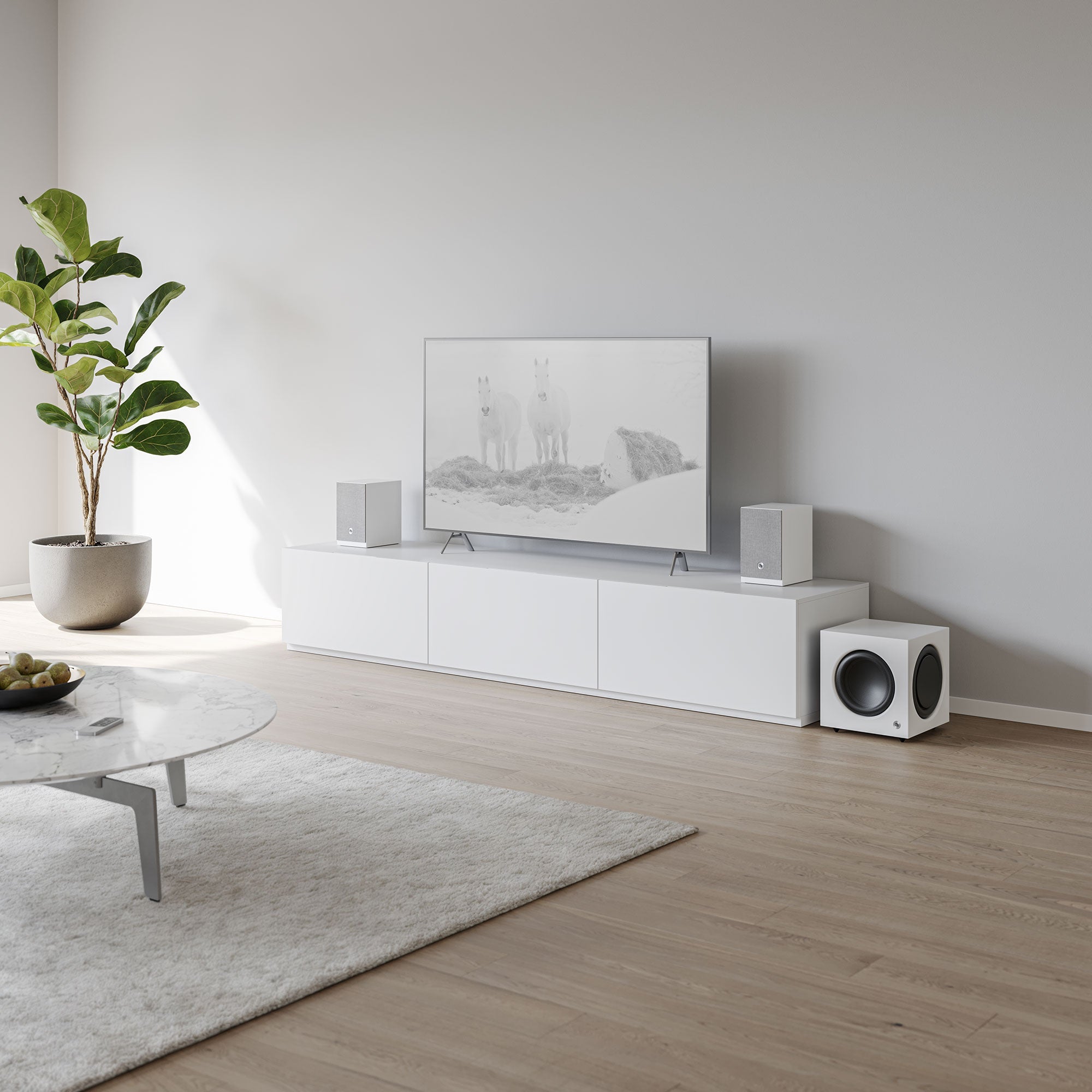 TV & Gaming