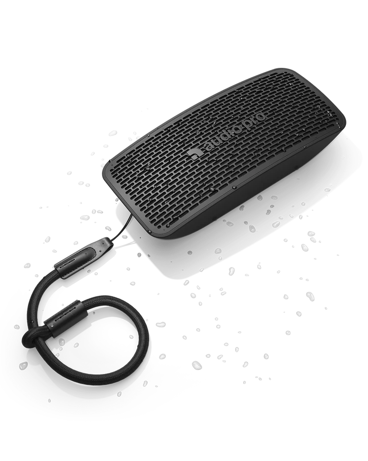 P5 (B)
